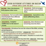 Seven Different Attitudes on Racism